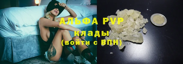 apvp Рославль