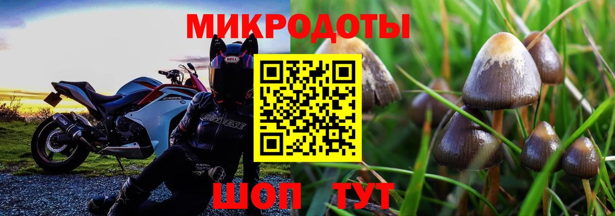 Мурино  Псилоцибиновые грибы MAGIC MUSHROOMS  Галлюциногенные грибы прущие грибы  Вход с VPN 