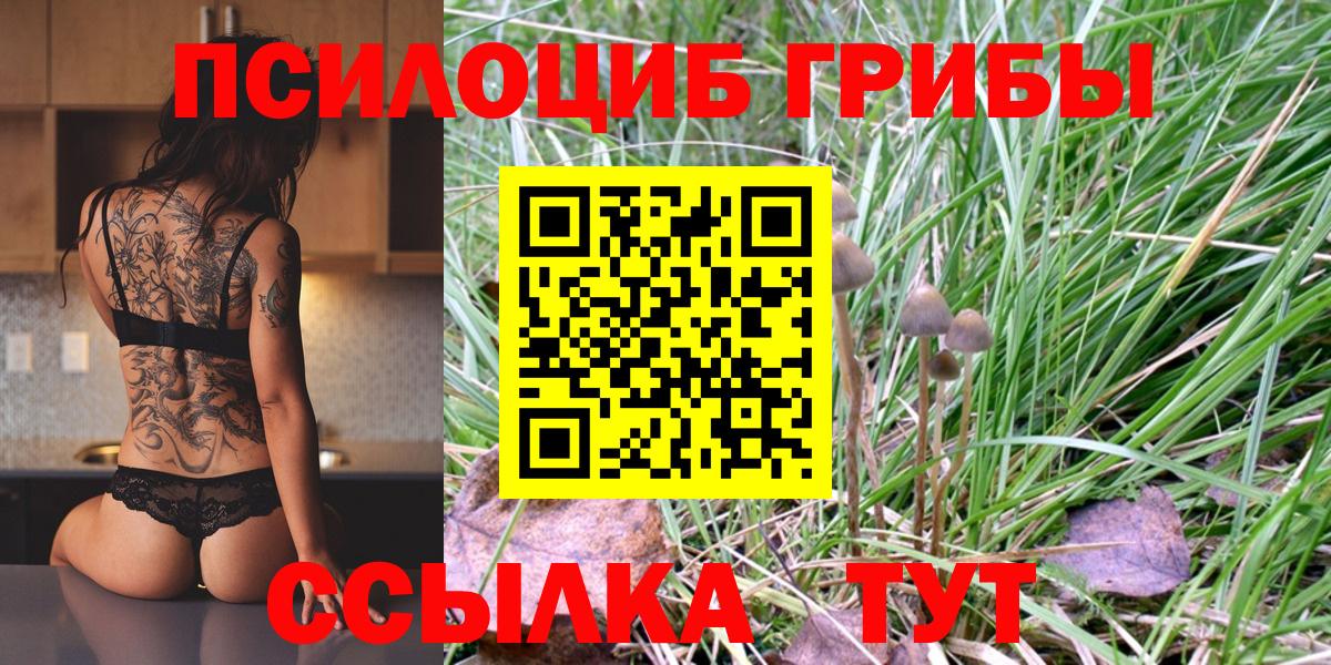 Галлюциногенные грибы мухоморы Мурино